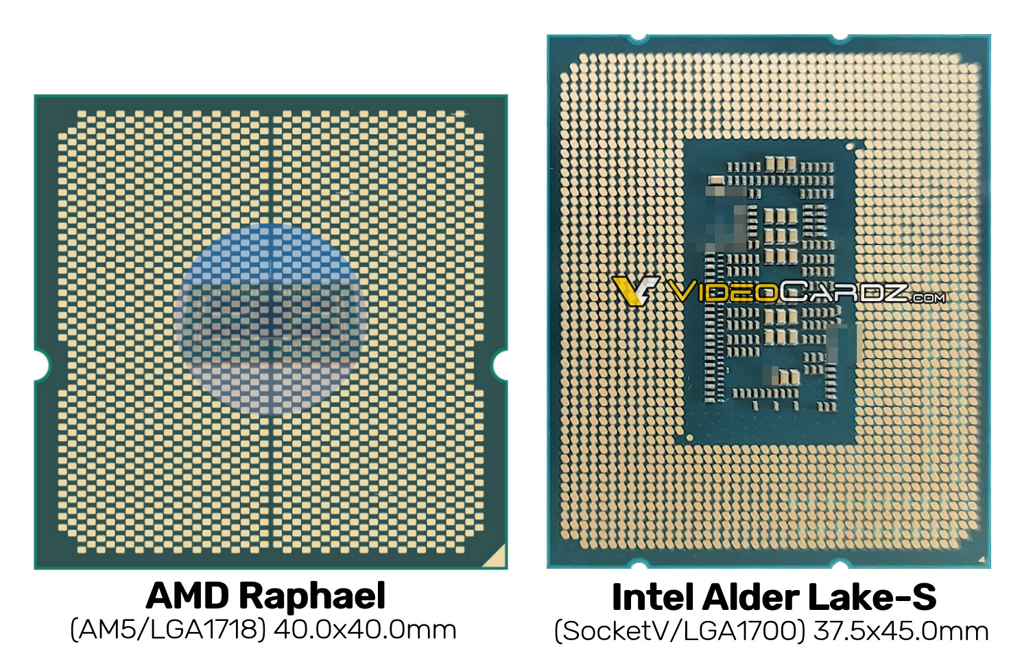 videocardz-on-twitter-amd-am5-lga1718-vs-intel-socket-v