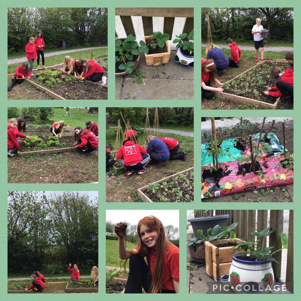 Here we are working on our growing enterprise. Lots of hard work and lots of fun. #knelstongreens #souperb