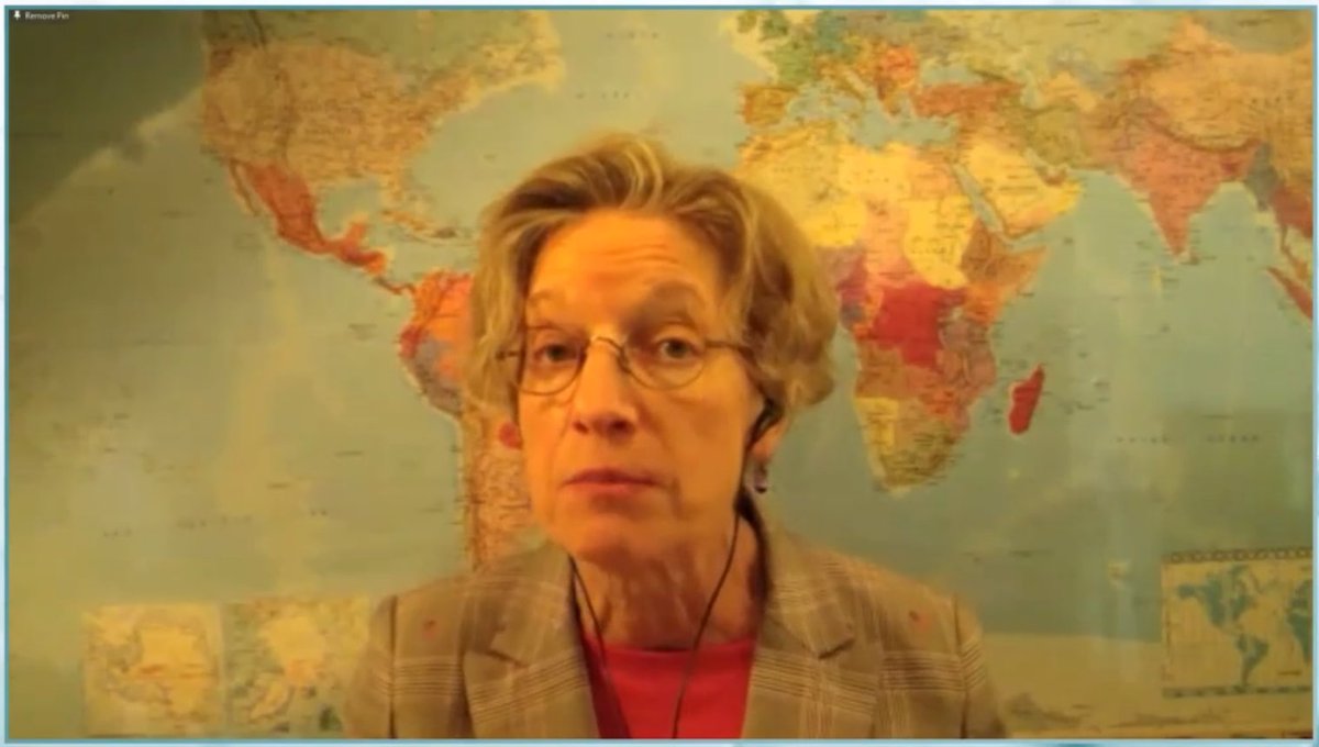 "There is no amount of government money that can be put to the climate challenge that will make the difference alone. There has to be private sector innovation," according to <a href="/Citi/">Citi</a> Global Chief Economist Catherine Mann.