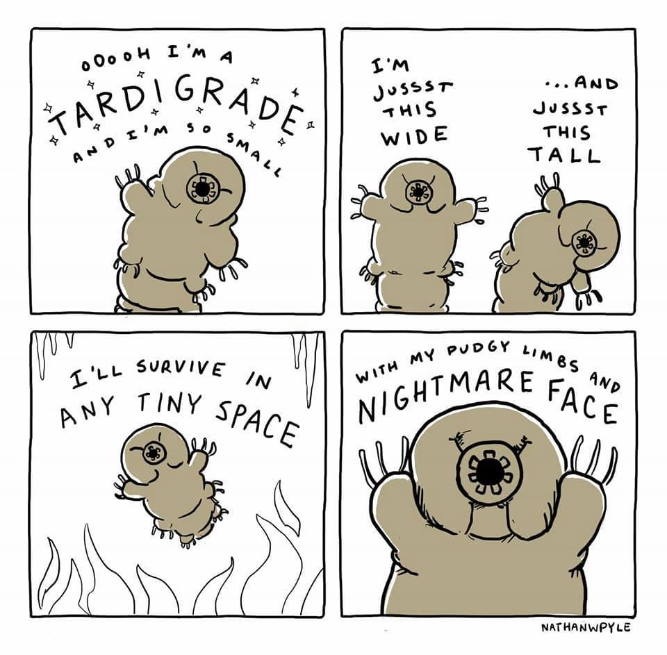 Caroline_Clason's tweet image. I LOVE this tardigrade cartoon by @nathanwpyle! 😍🤣 One for any cryoconite people / microbiologists out there! ❄️🦠