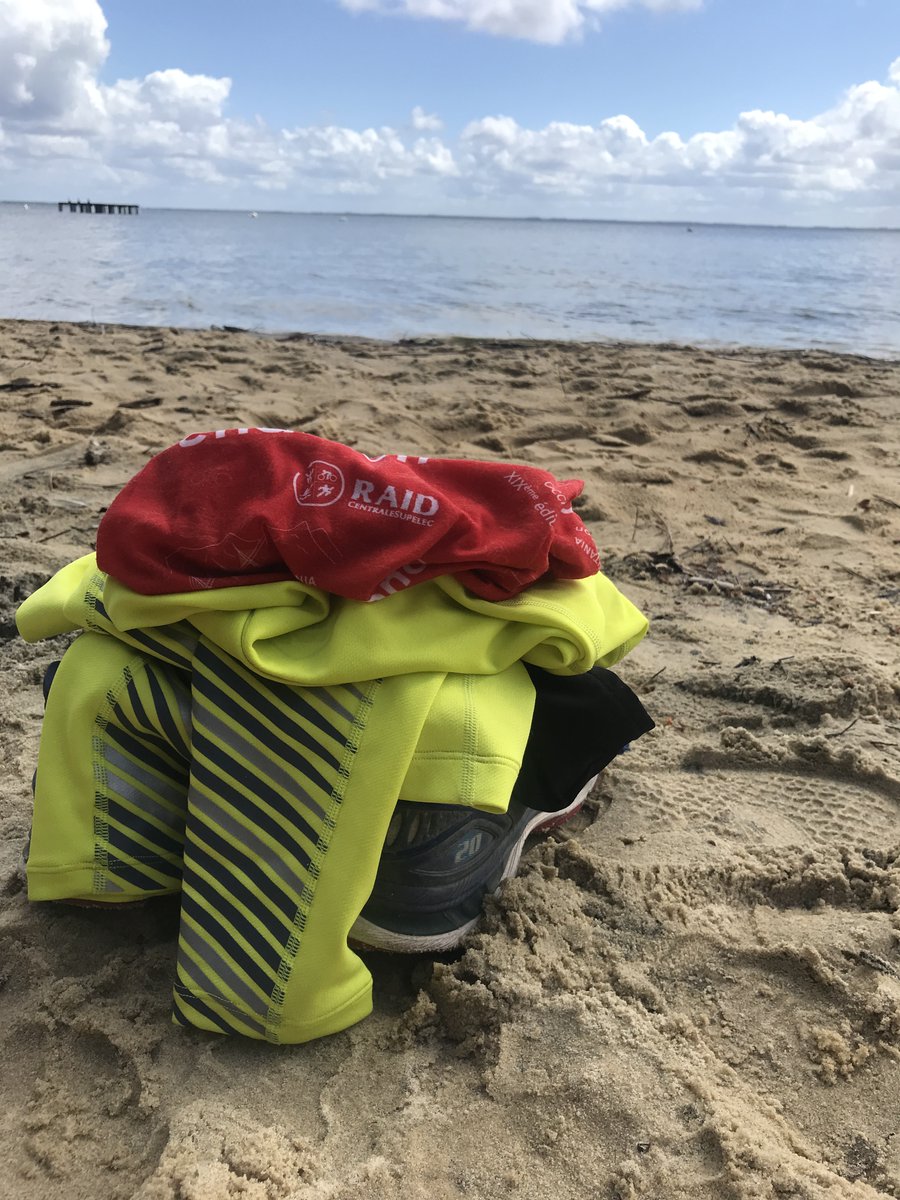 Polypolyrobrob tweet media