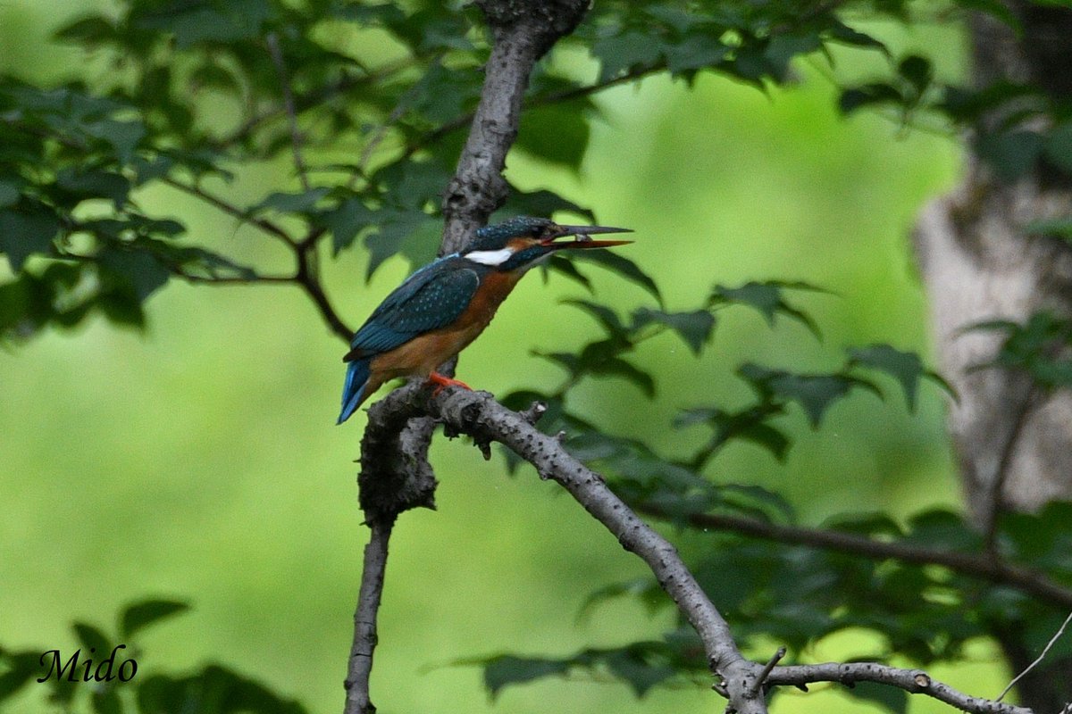 Mido 👩🏻 tweet media