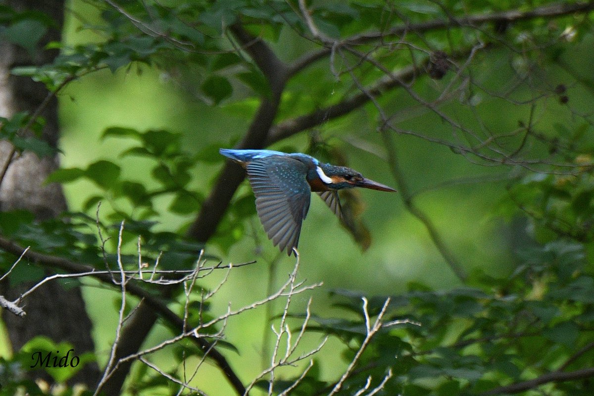 Mido 👩🏻 tweet media