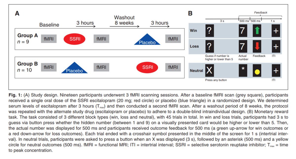 JPsychNeurosci's tweet photo. The brain responds differently to reward and loss. SSRIs affect neural processes, but do they affect reward and punishment processing? Read more in #research by @the_EGG_lab @Car0Lewis @RachelGZsido @KarstenMueller6 @OkonSinger @forbes_erika @arnovillri https://t.co/r4FGtdi0jC https://t.co/VcnwiU2qCR