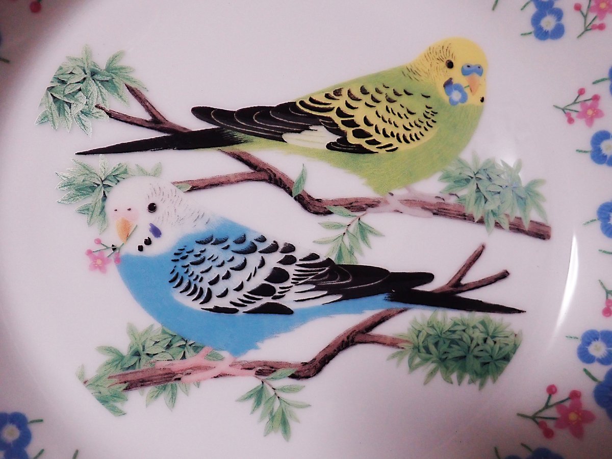 Uzivatel ホリュピア Na Twitteru 暮らしを楽しむ小鳥雑貨フェリシモ小鳥部 ン ん と思うアイテムが多いなかで本日届いた当たりな１枚 お皿だけにｗ 大皿で深みがあるから使いやすいこと間違いなし 大きすぎて食器棚に入らないので 机の上に放置し