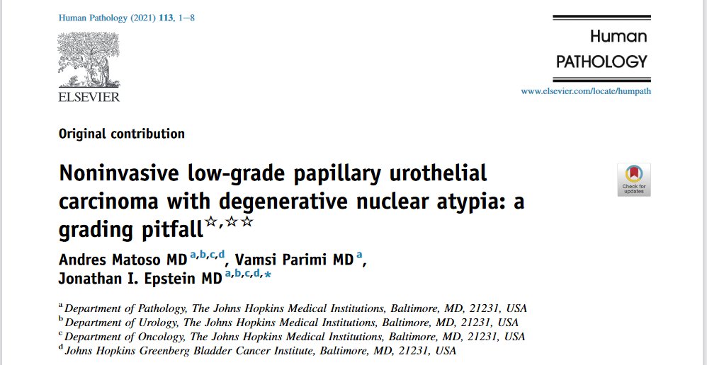 Human_Pathology's tweet photo. #HumPathol #RecentArticle

@Andres_Matoso et al. address difficulties in grading noninvasive low-grade papillary urothelial carcinoma with significant nuclear pleomorphism and degenerative atypia #GUPath #Pathology https://t.co/Bi6fsuKq40