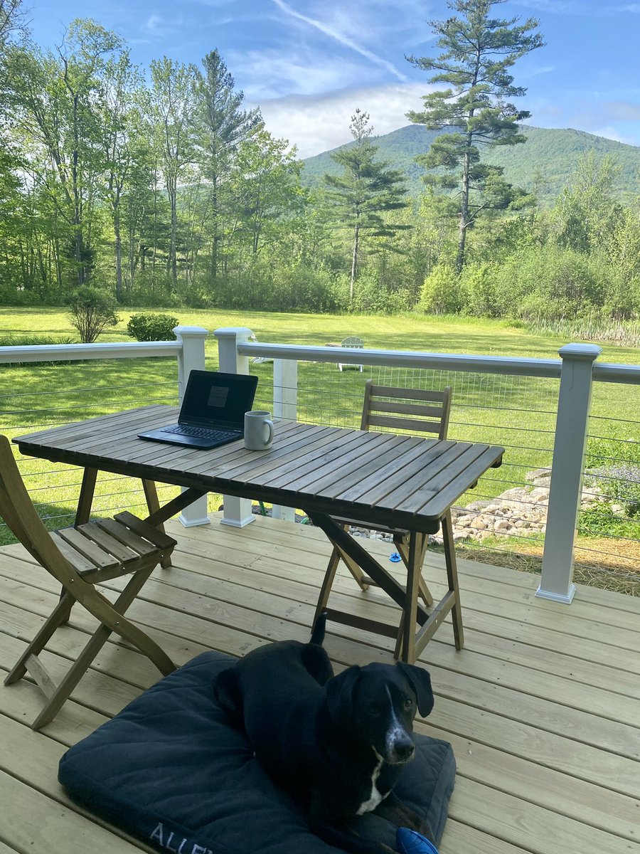 Emily Hogan tweet media