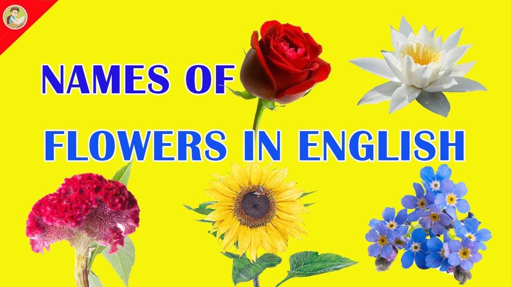 sambathboeng's tweet image. youtu.be/scC4zCT7ZLc