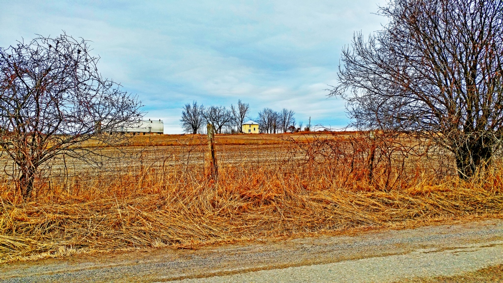 Matthew Bennett | Portraits.TO tweet media