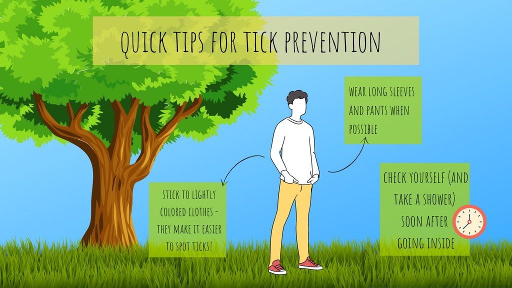 AlbanyMedCEHC's tweet photo. Unfortunately, outdoor adventures can sometimes mean dealing with ticks. Make sure you're prepared before heading out! For more information, visit https://t.co/DfieO9yuBM

#TickSafety #TickPrevention #TuesdayTips https://t.co/yJG2UPUEw5