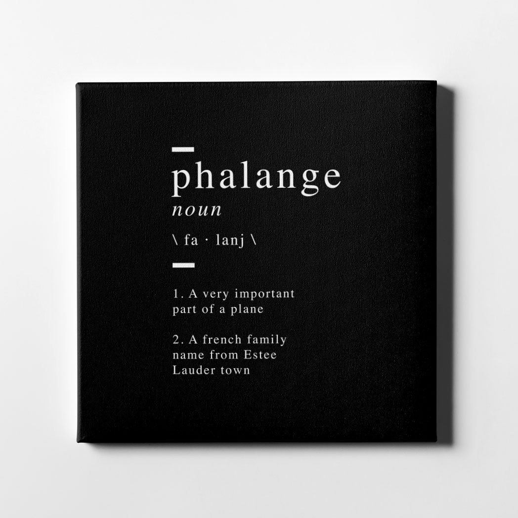 ArtifulStore's tweet photo. A very important and non existent part of a plane. ✌️😂

#canvasart #canvaspainting #artwork #friends #phalange #nbc #art #homedecor https://t.co/WhWRsxSusB