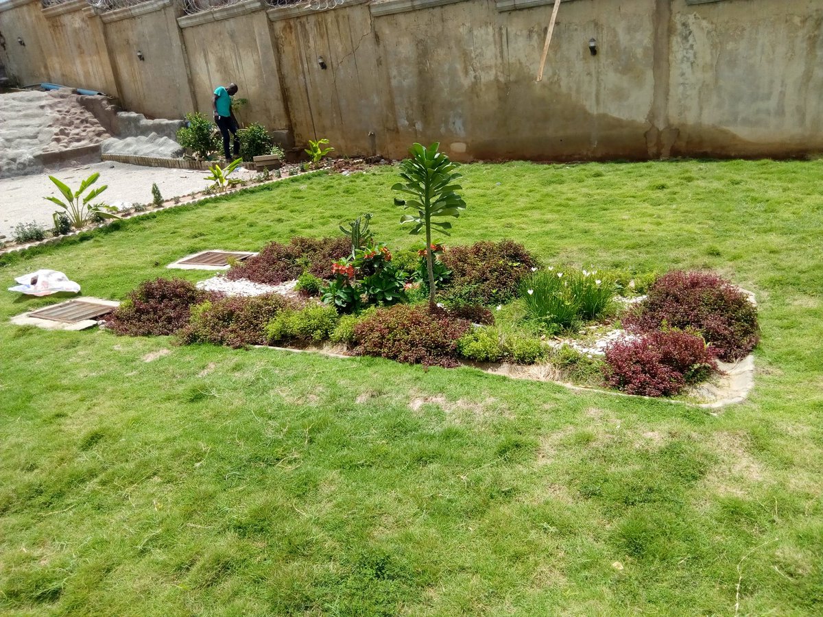 NulifeL's tweet photo. @potam1304 NULiFE Project Ltd....For Your Interior &amp; External Landscape needs....Bring Nature to you https://t.co/TMFALknu7g