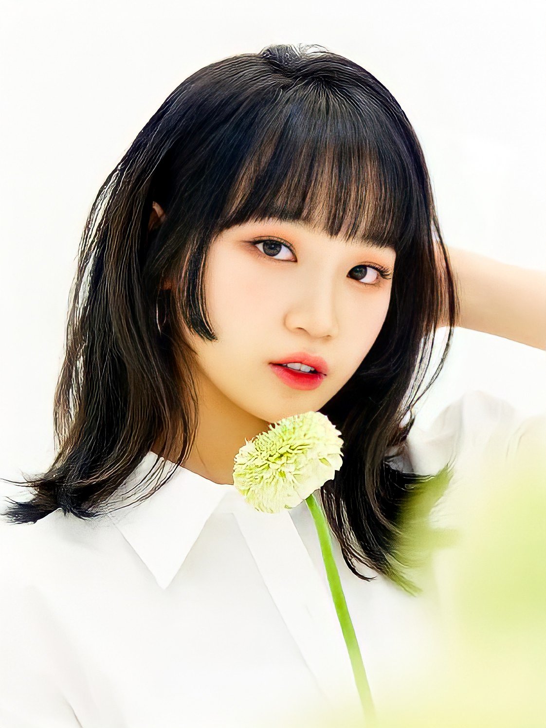 IZ*ONE キム チェウォン CHAEWON ショーコン ポストカード トレカ IZ*ONE キム チェウォン CHAEWON ショーコン ポストカード トレカ