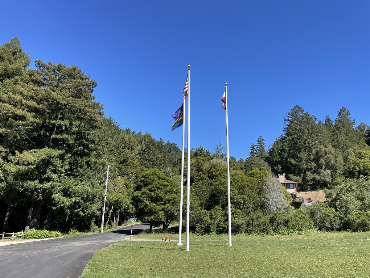 chadnico's tweet photo. Inspiring, connection & visioning filled site visit to @CampJonesGulch w/@rodgrozier @grodevelopment & our @ymcasf team! #ClimateJustice #EcosystemsOfCare #PrideFlagFlying #CommuningWithNature #EquityThroughCamp #LoveThisWork #AndOurTeam #WeGotThis https://t.co/EHXFYRMjvF