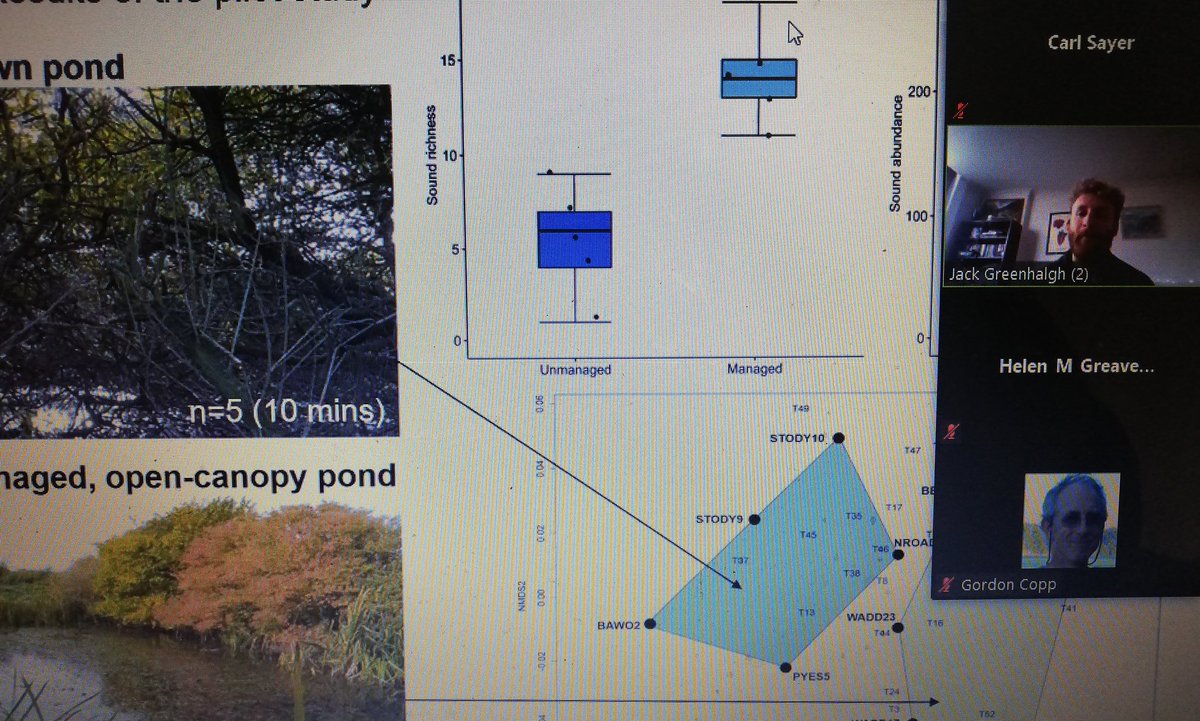 It's time for @WildAudioJack to entertain the #epcnponds21 troops with his #pond #ecoacoustic research. Restoration by @norfolkponds leads to more complex underwater music in ponds!! Pond soundscapes are packed with ecological information...