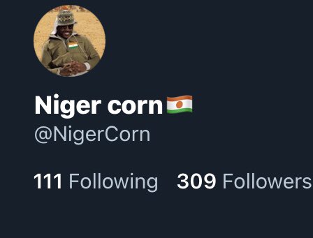 NigerCorn's tweet image. Thanks for 300🖤haven’t been active lately been doing random shit but I’ll be active again soon thank all of you
