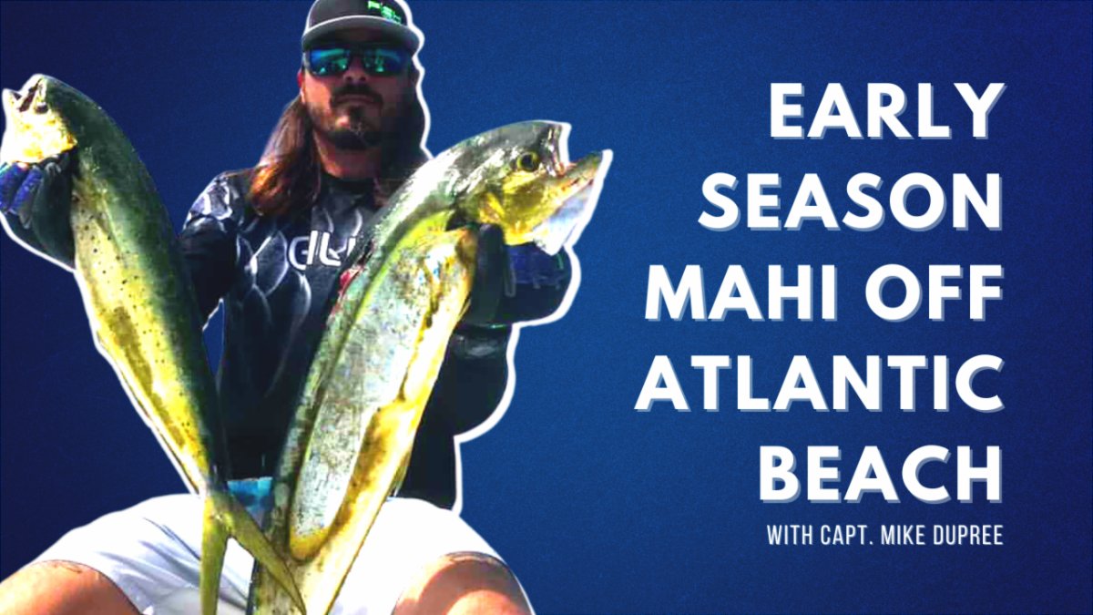 FishPoster's tweet image. Early Season Mahi Off Atlantic Beach with Capt. Mike Dupree conta.cc/3vmyKiy