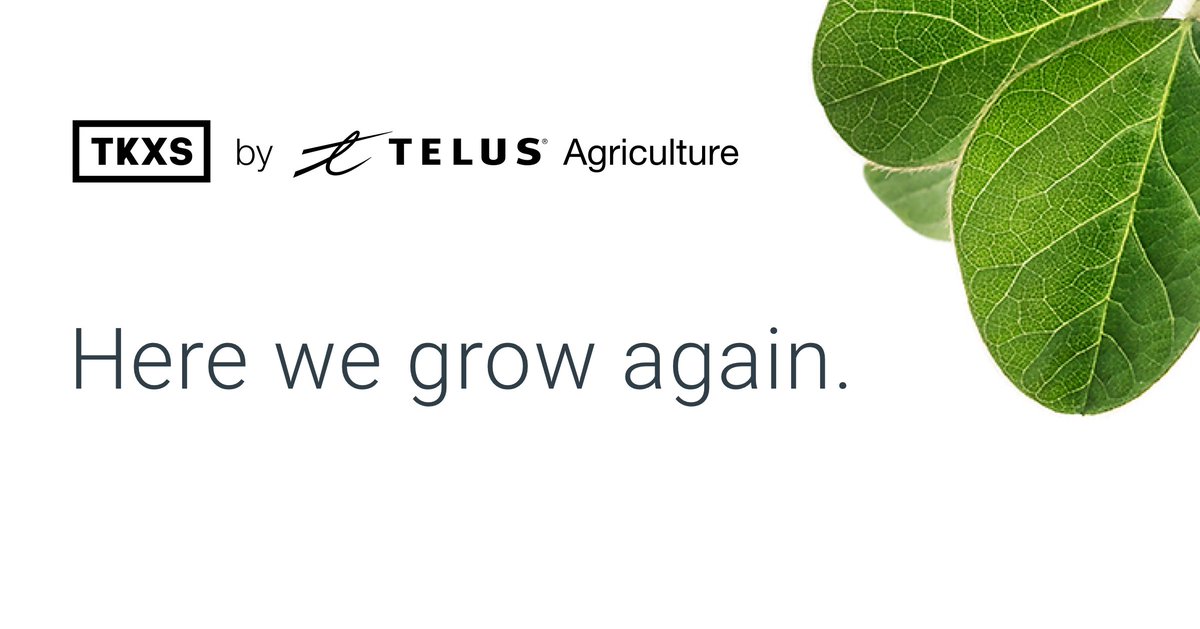 Lots of fresh opportunities for talented, fun-loving folks! Visit hubs.ly/H0P0ycb0 for details. #telusagriculture