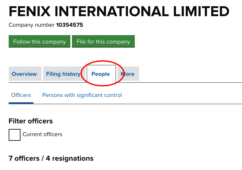 Who owns fenix international limited