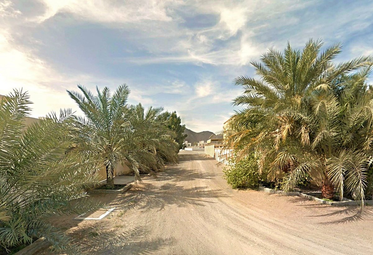 🌴A street in Kalba - Sharjah - UAE  🌴