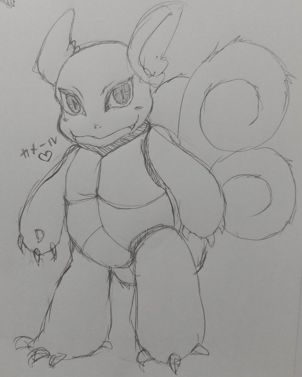 寝状タバサ V Twitter ポケモンは昔からカメールが大好きです さっき無性に描きたくなった あと シャワーズもフォルムが好きです 寝ます ポケモン イラスト シャワーズ カメール