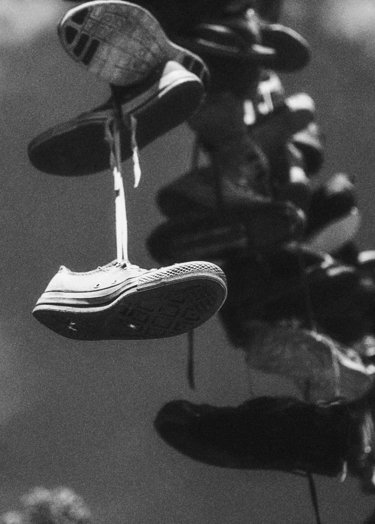 Dave Catuccio tweet media