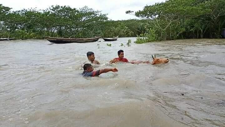 FFF_Bangladesh's tweet photo. Flooding in the  Char Fashion Upazila in Bhola District, Noakhali District, and many other places due to cyclone "Yaas". The maritime ports of Chattogram, Cox's Bazar, Mongla and Payra were advised to hoist distant warning signal number 2 today.
#CycloneYass #CycloneAlert https://t.co/MQOqaNioP0