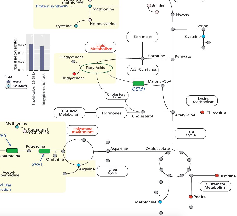 Neelu (@neelubegum) on Twitter photo Check our latest work on metabolic differences in #Candida species
biorxiv.org/content/10.110…
<a href="/sysbiomelab/">Shoaie Lab</a> <a href="/LabMoyes/">The Moyes Lab</a> #mycology #microbiome #fungi #metabolism Check our latest work on metabolic differences in #Candida species
biorxiv.org/content/10.110…
<a href="/sysbiomelab/">Shoaie Lab</a> <a href="/LabMoyes/">The Moyes Lab</a> #mycology #microbiome #fungi #metabolism