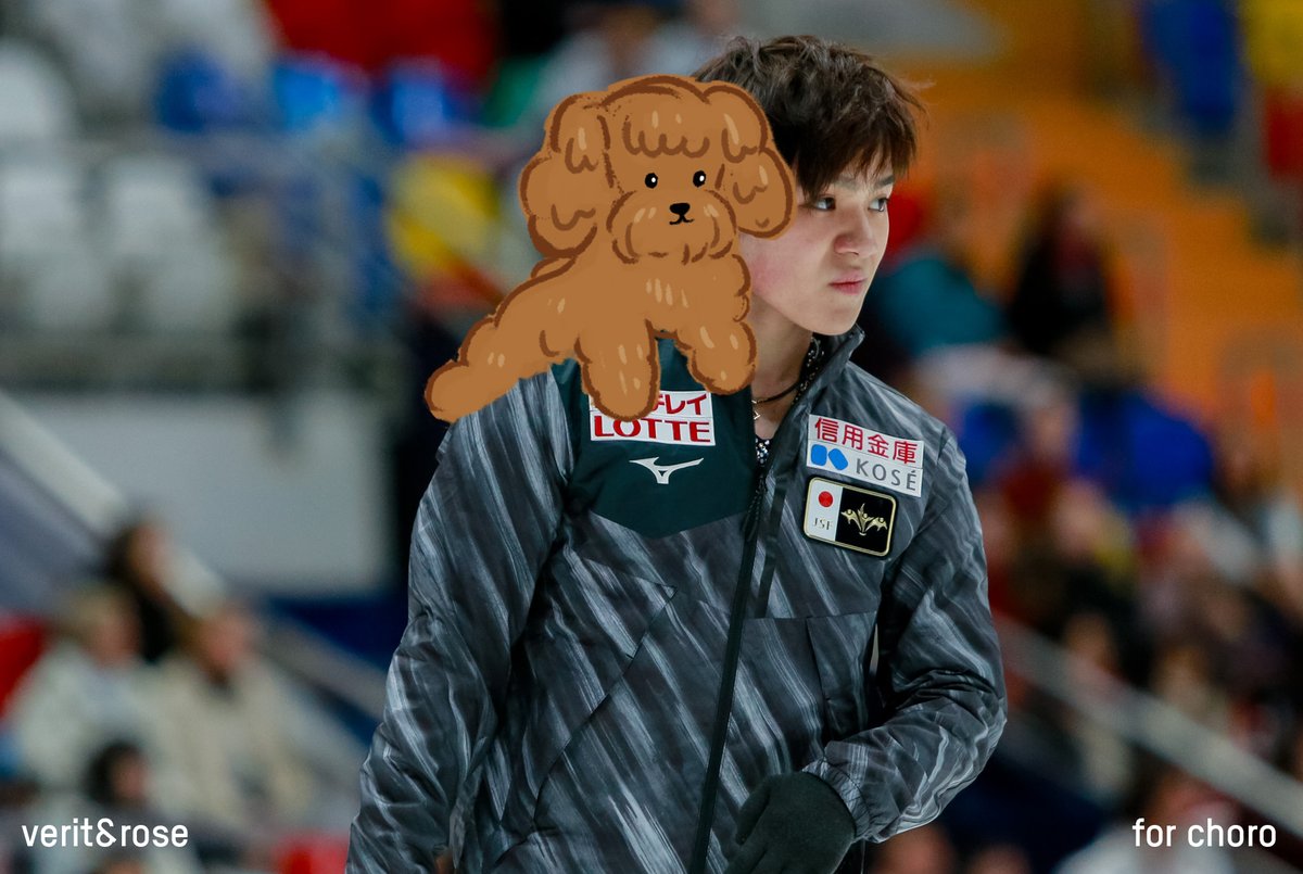 special collaboration by @asverit (photos) & @singlelutzes (drawings) for @choromatsu333 🧡 'Uno dogs in their natural habitat', exhibit A (Toro-chan) #ShomaUno #宇野昌磨