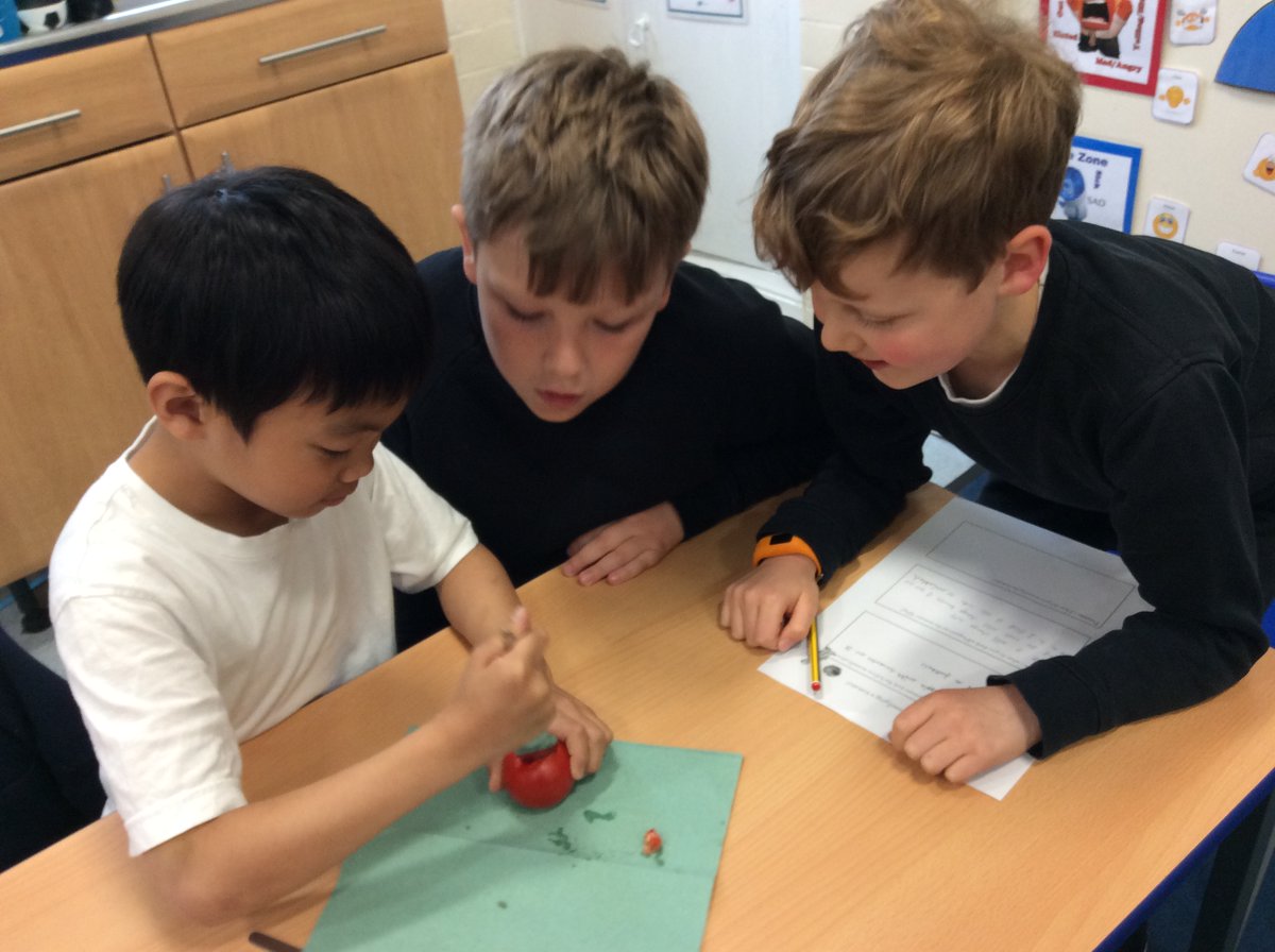 DringhousesPS's tweet photo. Class 6 (Y3) became embalmers today and performed their own mummification procedure on a body (tomato). They cleaned the body, scooped out the organs, covered it in natron and are leaving it for 40 days. What will happen next? #DringEnglish #DringHistory https://t.co/KVtO4sYWAM