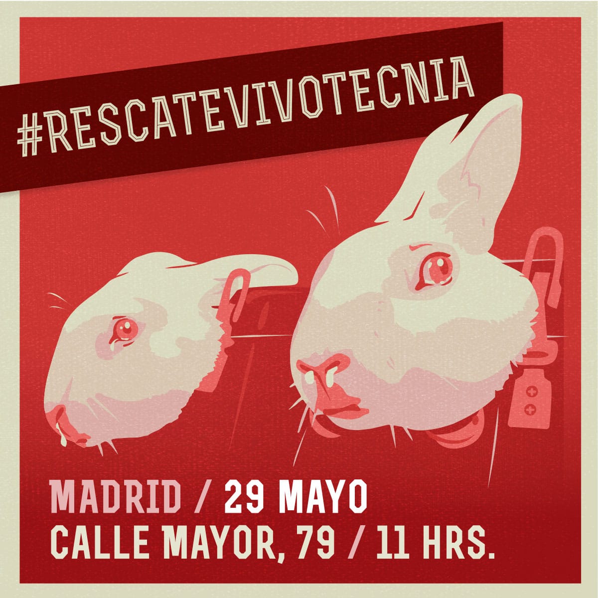 santuario_sp's tweet photo. El sabado tenemos esta manifestación por la #Vivotecnia , es LA ÚLTIMA OPORTUNIDAD, para presionar por la liberacion de los animales de vivotecnia.
❗❗❗
Día: sábado 29 de mayo 2021
Hora: 11:00
Lugar: Calle Mayor, 79 (a la altura del Consejo de Estado). Hasta la Puerta del Sol. https://t.co/WAgpuShWVk