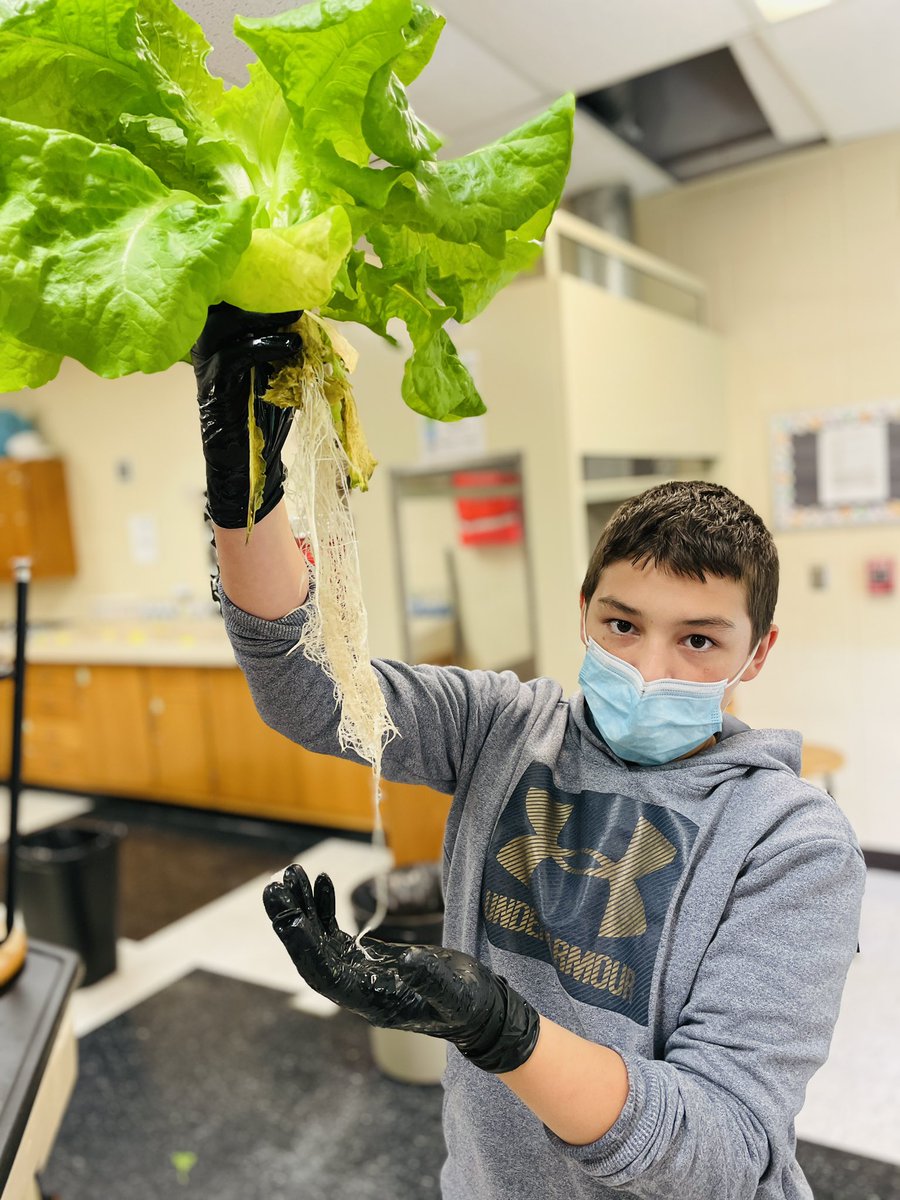 EMS7Science's tweet photo. Harvest day!  Best crop yet.  92% success rate.  Thank you @491Foundation for the grant two years ago.  Gift that keeps on giving. @CropKingInc #WeAreEMS https://t.co/zgN2xxtvzI
