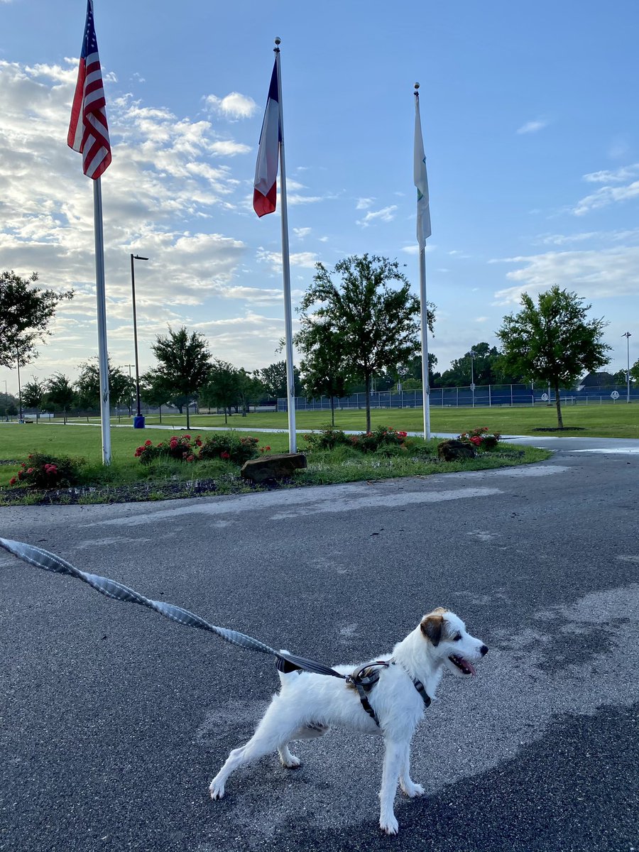 CharleneLuna13's tweet photo. Rise &amp; Shine - Let’s Walk a mile for #CarryTheLoad Time! 

Who will you remember this Memorial Day &amp; Carry The Load for? Join us &amp; get #STXactive 

#LifeAtATT • #WeAreSTX https://t.co/tVk6dWXLGy