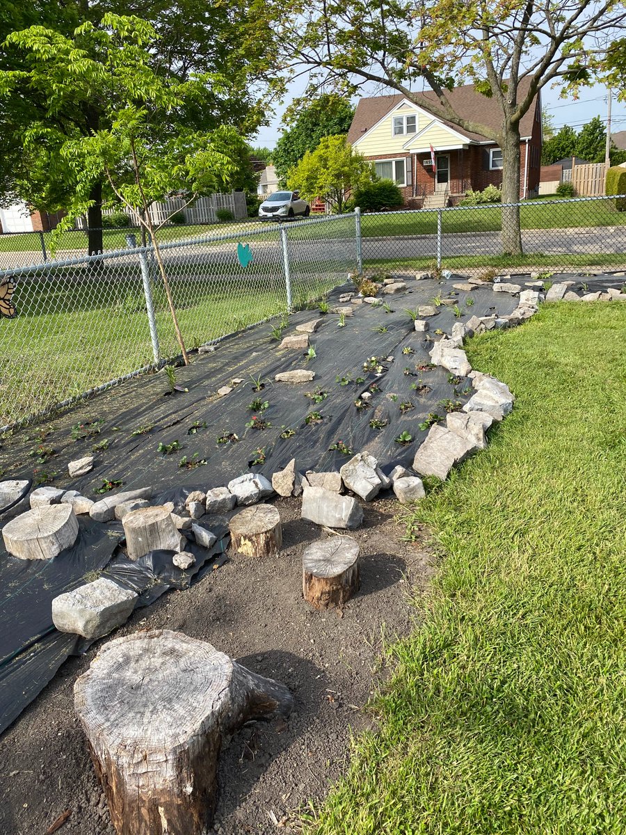 École catholique Saint-Edmond tweet media