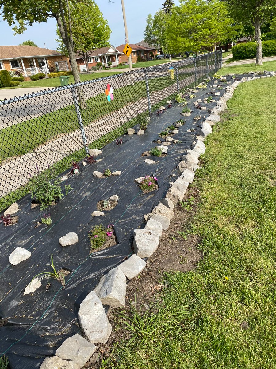 École catholique Saint-Edmond tweet media