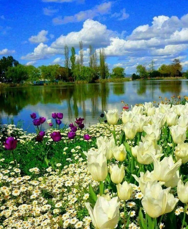 Happy Tuesday to all 🌺🥰
