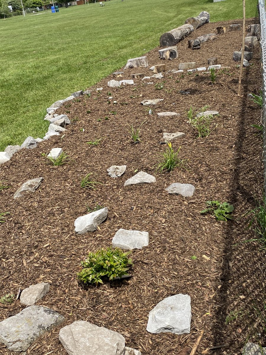 École catholique Saint-Edmond tweet media