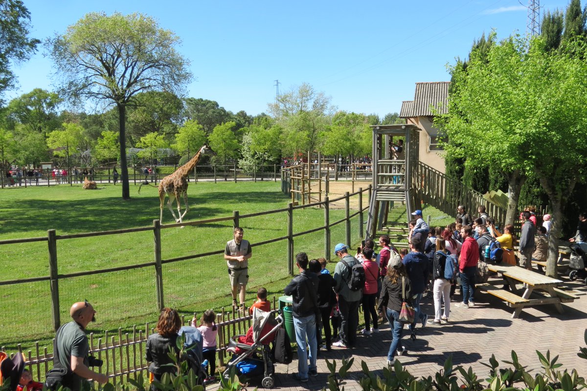 skiperformance's tweet photo. Parco Zoo Punta Verde @zoopuntaverde it's a beautiful zoo park in northern Italy, where animals are cared with love and it's possible to see the protected animal species up close. 
🎯 They choose our #ecommerce solution to sell #tickets and #products: 
https://t.co/PktvbsOVmJ https://t.co/XkFTejJPfr