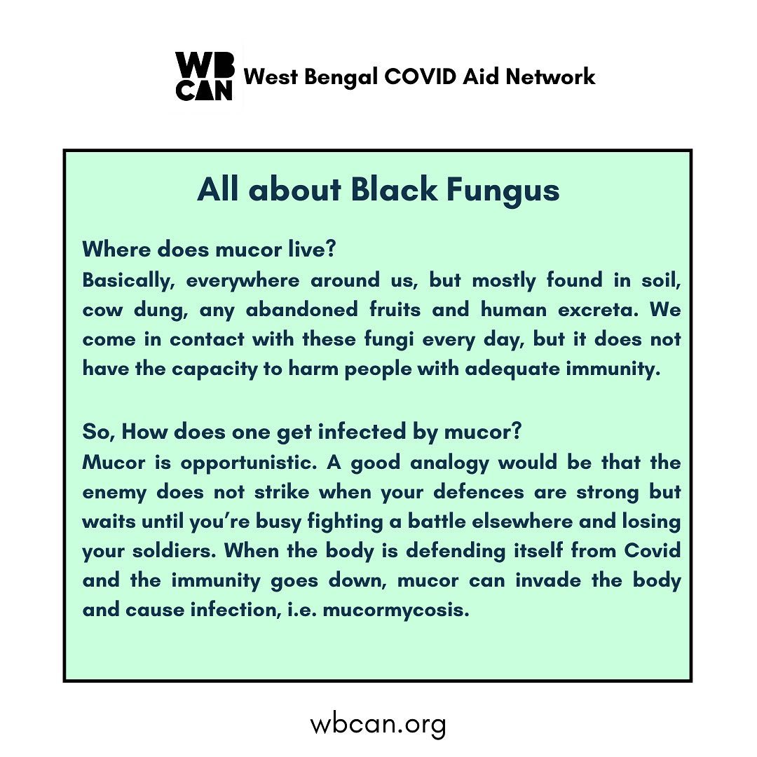 WBCAN2's tweet photo. All you need to know about Black Fungus or Mucormycosis. Dr. Sayan Dasgupta MBBS, PGT (Oncology) explains the causes and precautions. 
thread
1/2
#covid_19 #covidindia #blackfungusalarm  #IndiaFightsCorona #BlackFungus #BlackFungusCovid #Mucormycosis https://t.co/WOHHM0Qr14