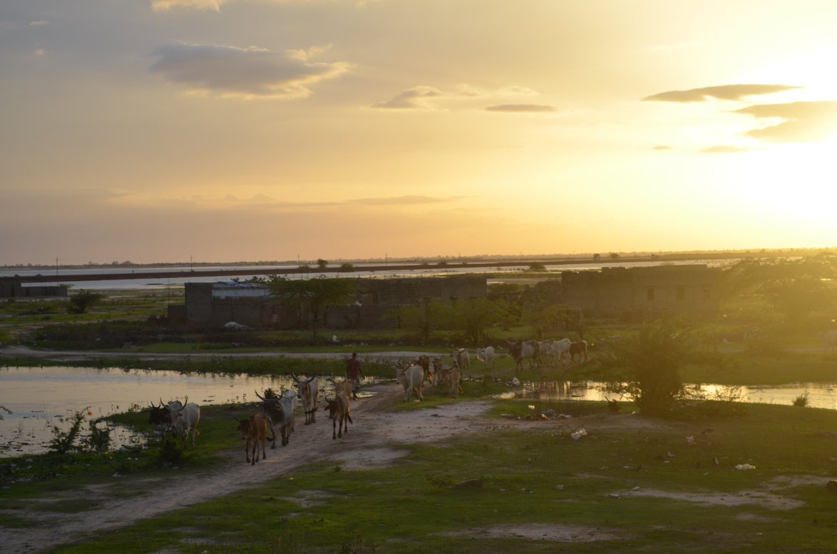 Edukaolack's tweet photo. El sol no se olvida de ningún pueblo. 

Proverbio africano.

#DíaDeÁfrica https://t.co/JjEjZJytMf
