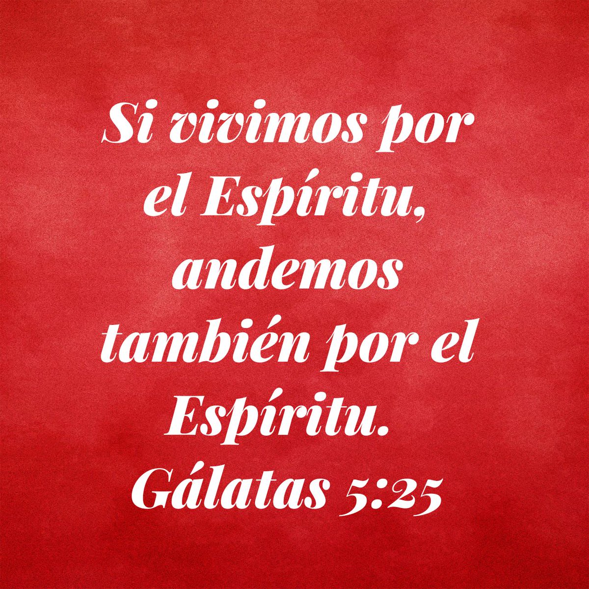 EdificaFamilias's tweet photo. La biblia nos enseña cómo debemos *andar* *caminar* Recordemos que no somos una *religión* somos discípulos de Jesús y como discípulos y eso nos hace que tengamos una vida de *Relación con Dios*  #haciendodiscipulos
#relacioncondios
#edificandofamilias https://t.co/bgTzQHEPid