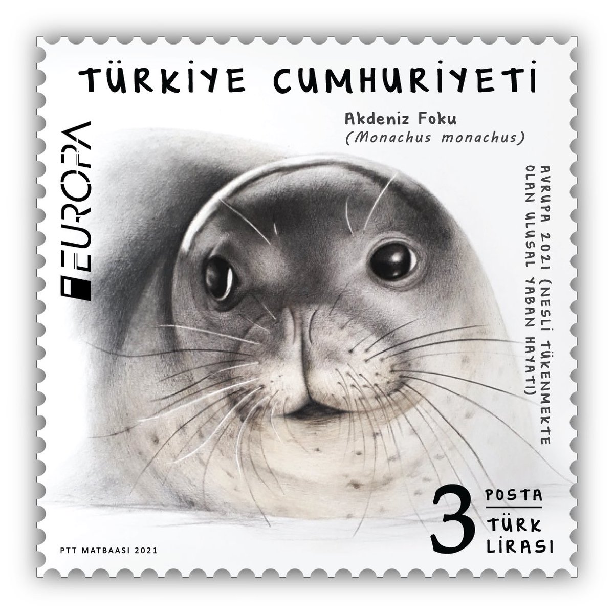 Avrupa Yaban Hayat Pul Yarışmasına Ülkemiz AKDENİZ FOKU tasarımı ile katılıyor. Oylarınızla Akdeniz fokuna destek olabilirsiniz. Lütfen bağlantıya girin ve oyunuzu kullanın! Sizden ricam bunu RT etmeniz. europa2021.posteurop.org/?fbclid=IwAR0P…