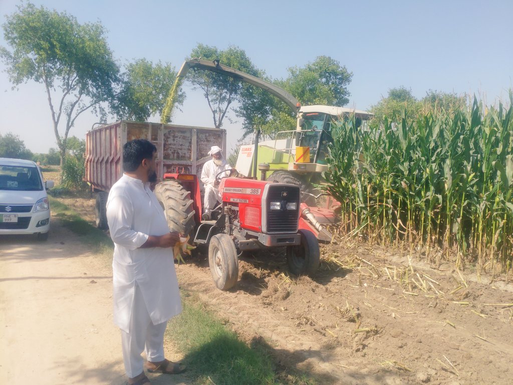 RizwanHBukhari's tweet photo. Alhamdulillah , FeedSol Silage production and dispatch has been Started.#feedsol #agribusiness #socialenterprise https://t.co/jEUs6xJ2lw