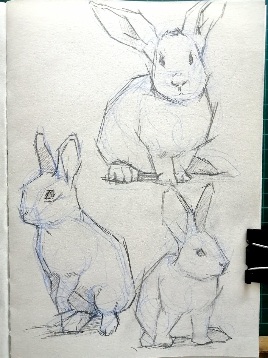 tangyuannn__'s tweet photo. Today Doodle Sketches
Rabbit 🥕🥕
#rabbit #sketching #sketchbook #sketch #sketches #sketchart #rabbitdrawing #rabbitdraws #illustogram #illustration #illustrationartists #illustrator #イラスト #イラストグラム #イラストレーター #創作イラスト #イラスト好きな人と繋がりたい https://t.co/tbkJOFLFHX