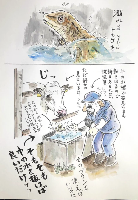 🦎

溺れるトカゲと書いていますが正確には「溺れているように見えたトカゲ」ですね。この後、無事外に逃げていきました。 