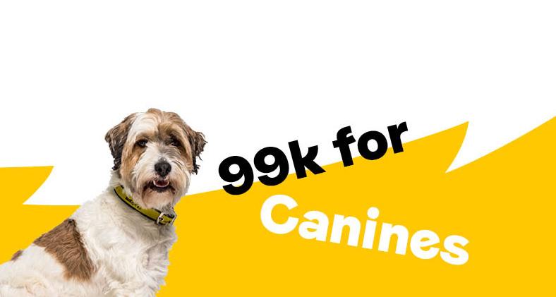 TIAA_Ltd's tweet photo. #CharityTuesday
Bonnie Sweet is taking part in the 99k for Canines, a challenge to walk 99km throughout the month of May in aid of @DogsTrust. Well done and good luck Bonnie and Marco! https://t.co/N6wdgWOAen