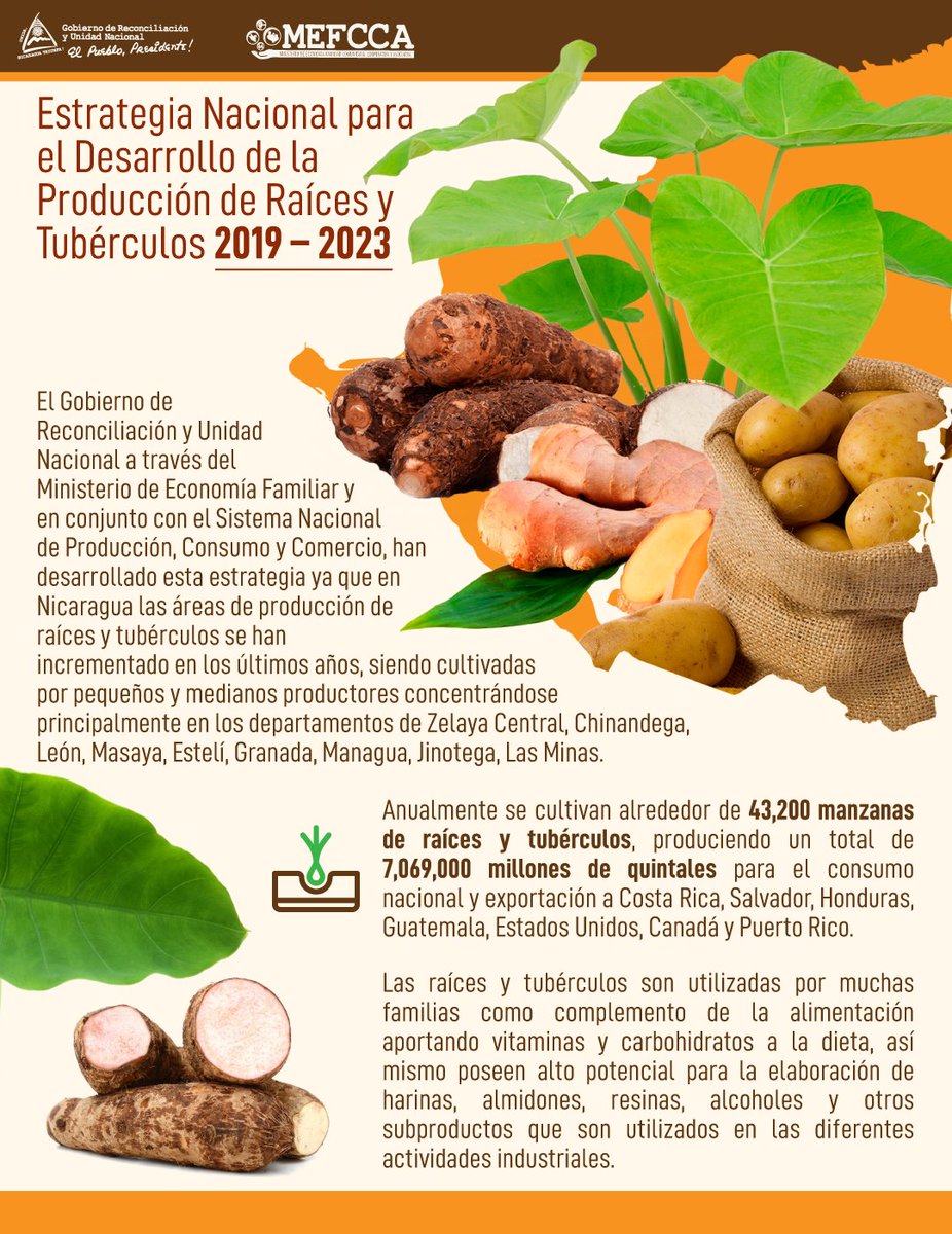 MinEmpren's tweet photo. Sabías que el Gobierno de Nicaragua implementa una Estrategia Nacional para incrementar la Producción de raíces y tubérculos
Te compartimos más información sobre esta estrategia👏
#MEFCCA #SNPCC #VacunandonosPuebloQueVence #MayoDignidadNacionalVencemos #25DeMayo https://t.co/cxoNtioTJ5