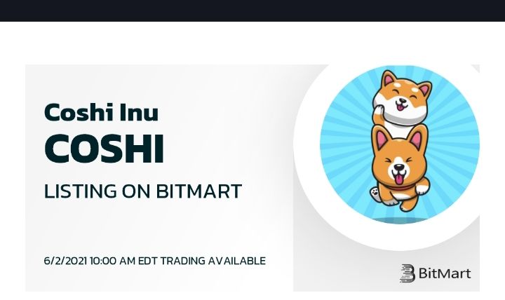 Coshi Inu Coshiinu Twitter