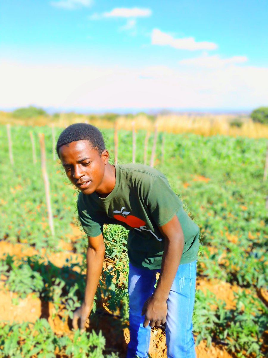 presleymsango's tweet photo. Practicing Agriculture https://t.co/vz52LE098S