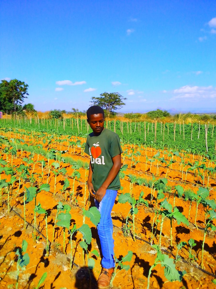 presleymsango's tweet photo. Practicing Agriculture https://t.co/vz52LE098S
